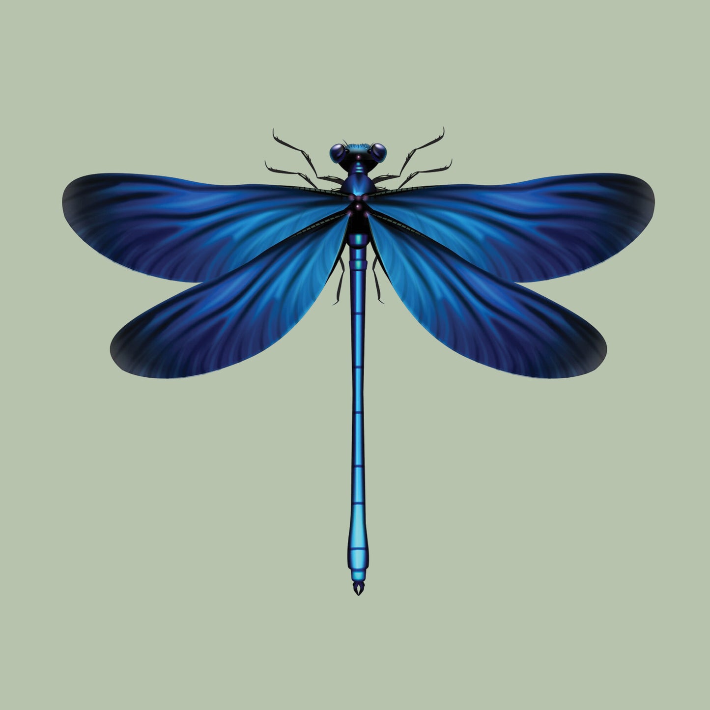 Did you call me Helicopter?